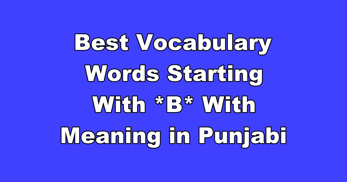 best-vocabulary-words-starting-with-b-with-meaning-in-punjabi-punjab