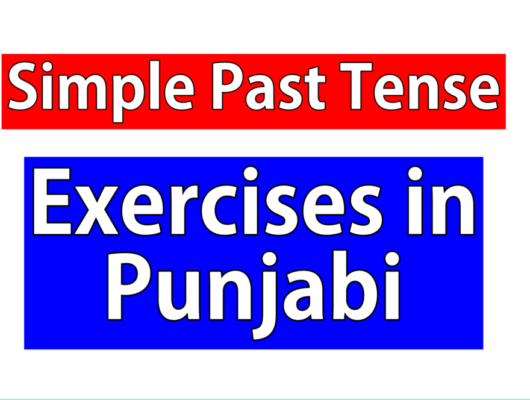 Simple Past Tense/Past Indefinite Tense Exercises in Punjabi